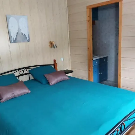 Maison Mitoyenne Entre Les Lacs, Proche Du Centre De * Gerardmer